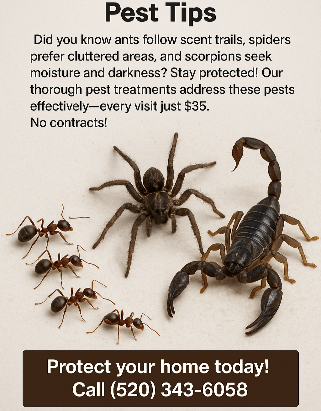 Desert Defenders logo