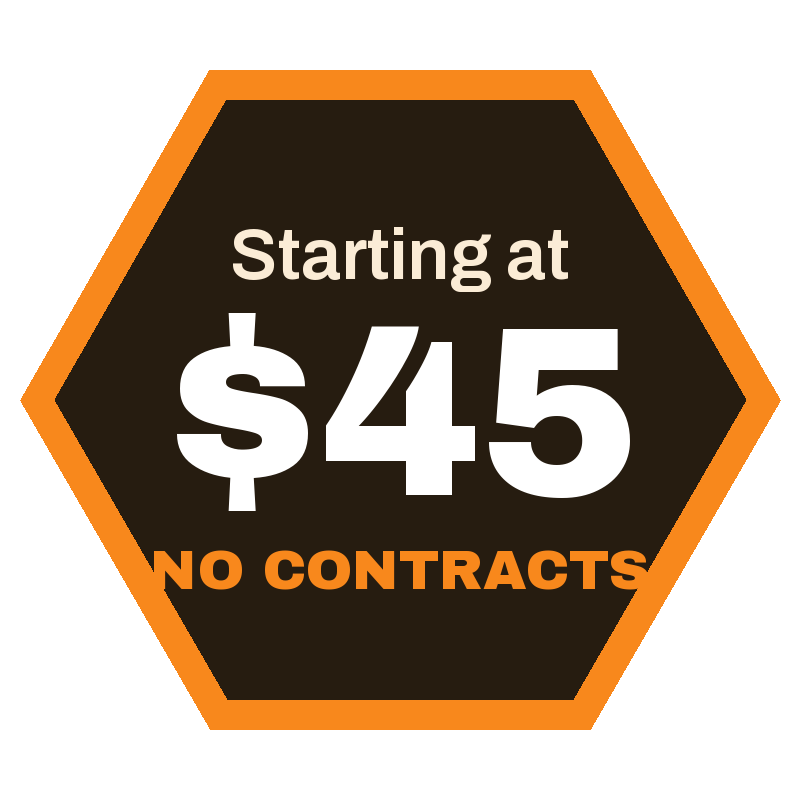 Starting at $45