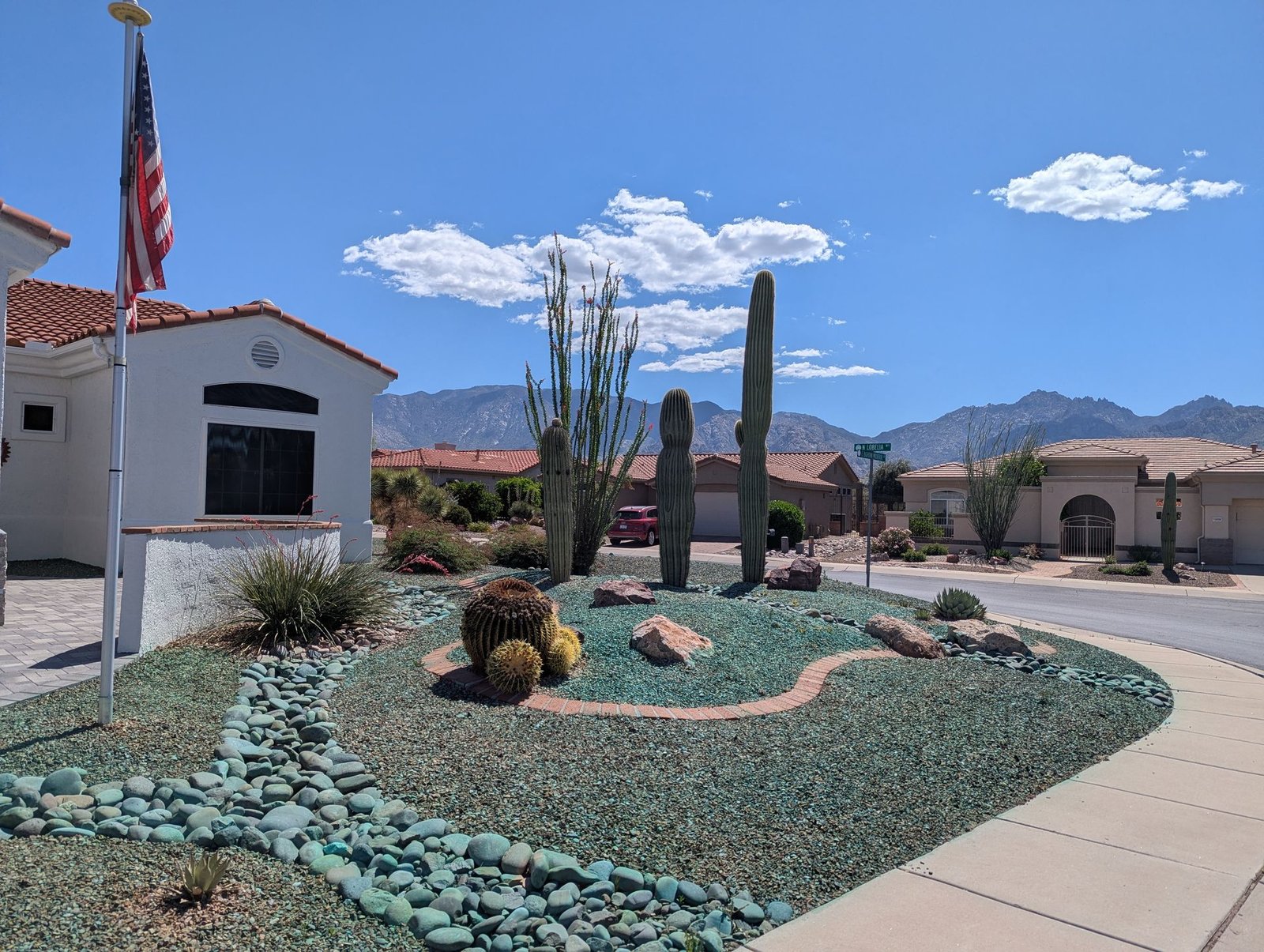 Corner lot weed control treatment with cacti in Tucson AZ