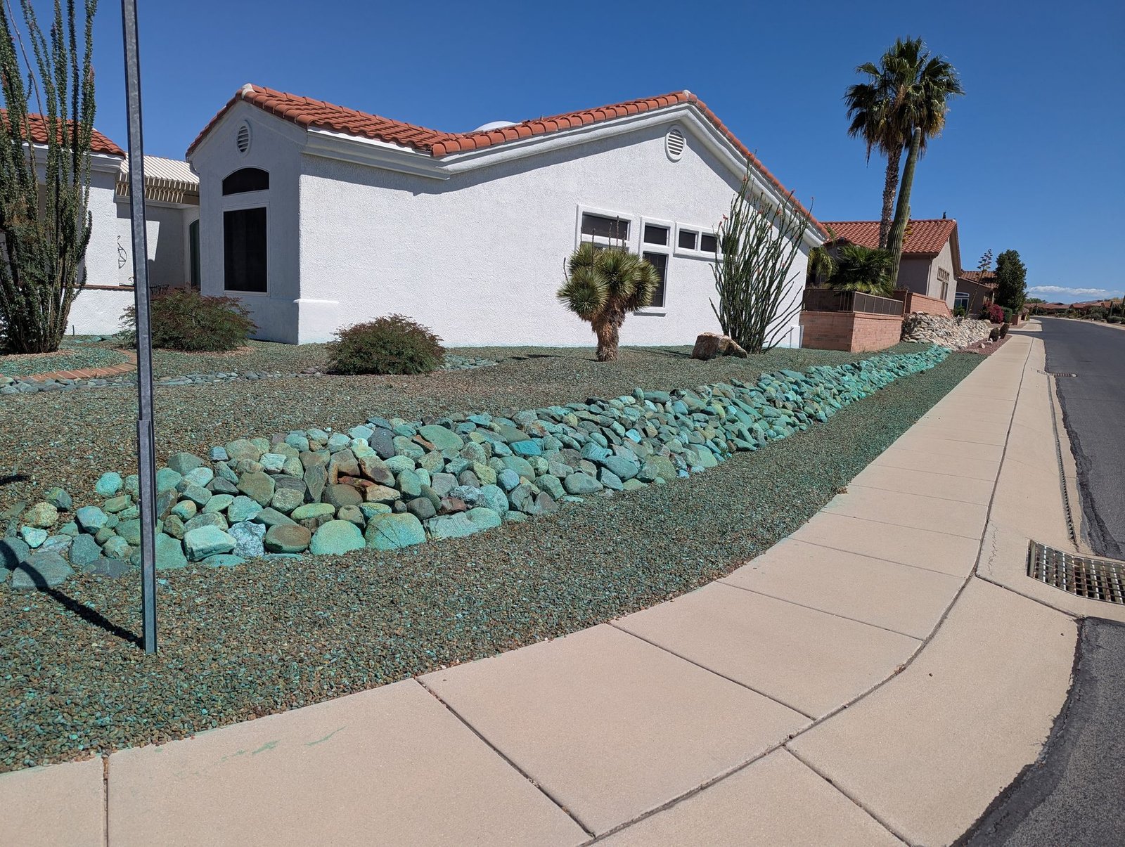 Desert landscaping weed control service in Tucson