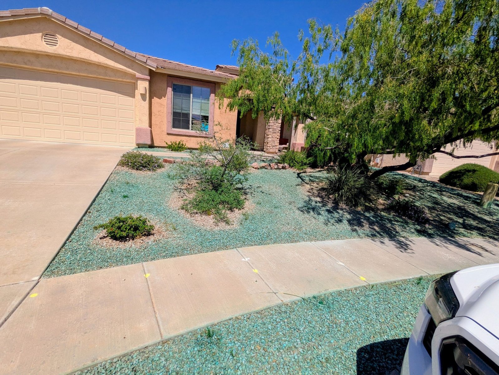 Weed control treatment on a Tucson front yard by Desert Defenders